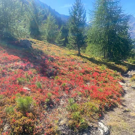 شقة Sportpension Rubin