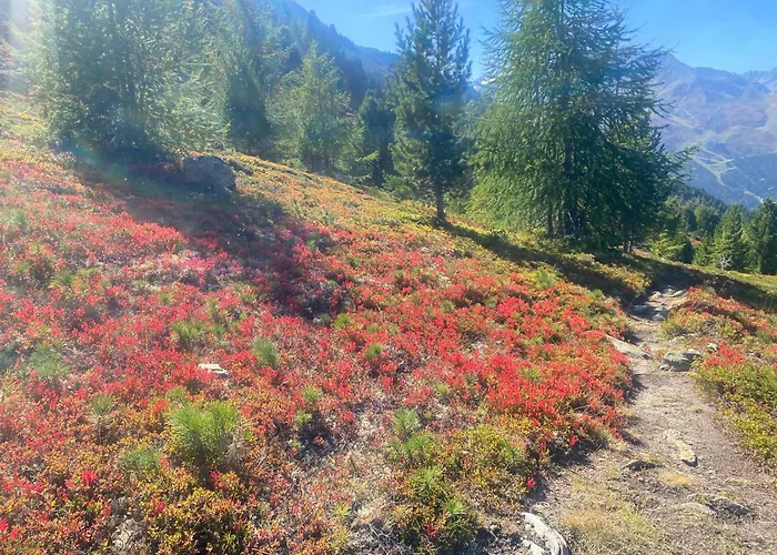 아파트 Sportpension Rubin